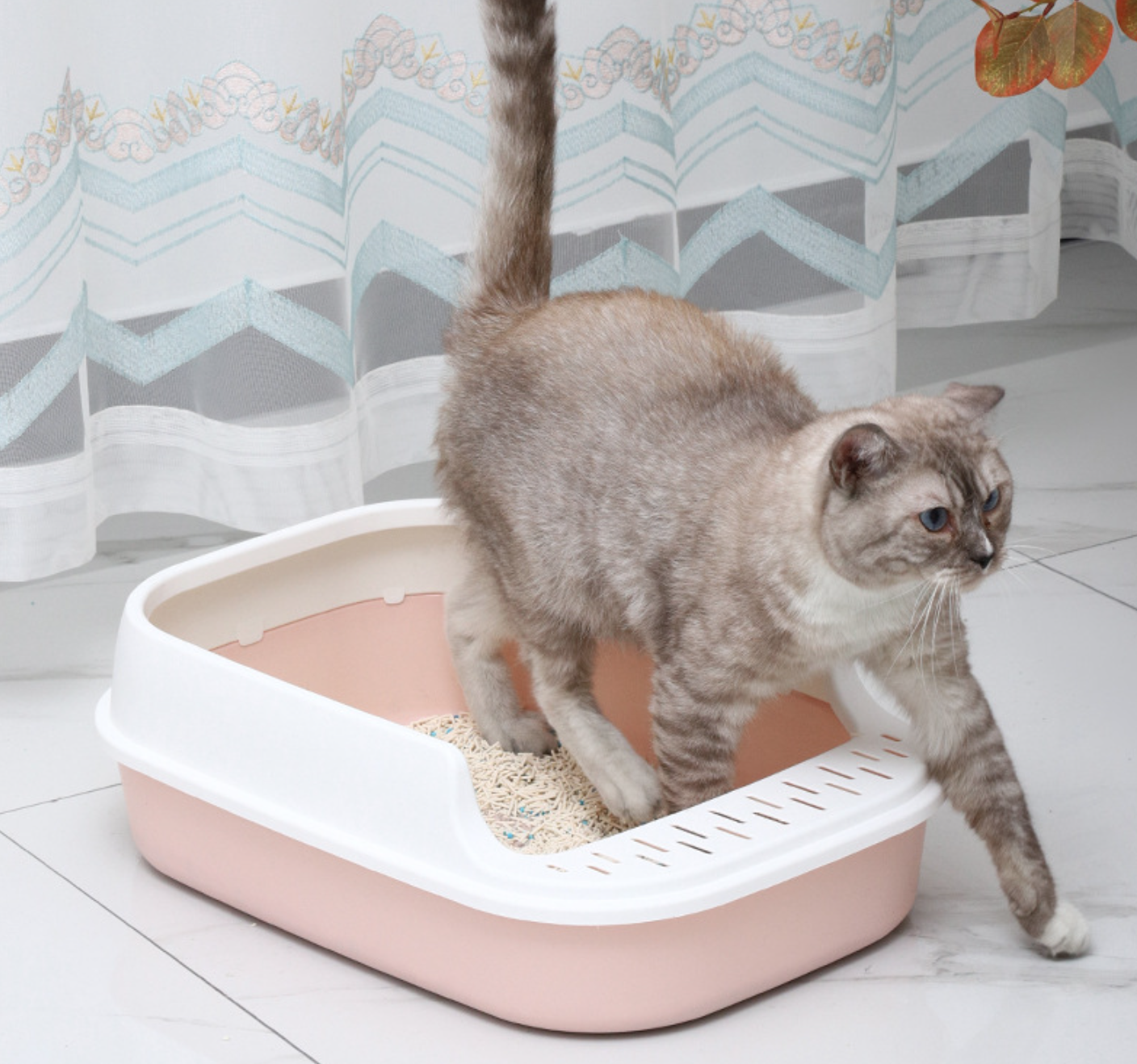Factory OEM Design Indoor Cat Litter Box Luxury Toilet Durable Plastic Cat Litter Tray